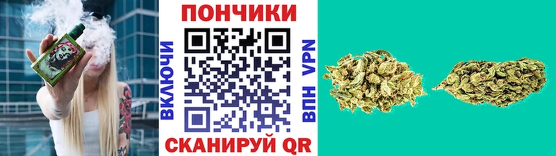Купить  Рудня  Бошки марихуана гибрид 